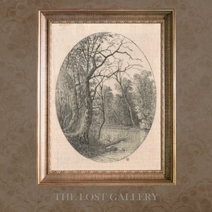 May include: A black and white vintage illustration of a forest scene with trees and a river. The illustration is framed in a gold frame.