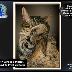 May include: A digital 5x7 card featuring a tabby cat grooming itself. The cat has brown and black stripes. Text on the card reads: "Choose to print message provided or print blank to write your own." and "This 5x7 Card is a Digital Download To Print at Home."
