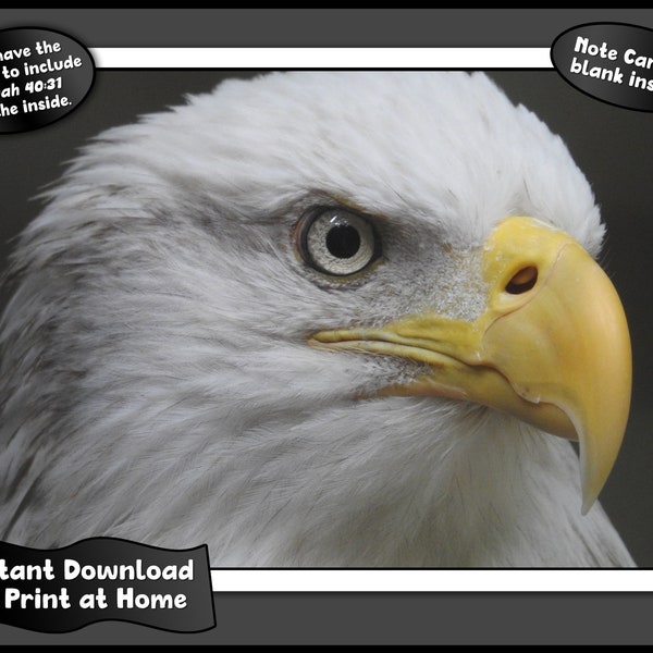 Bald Eagle Photo on Digital Download Note Card to Print at Home Unlimited Times, Eagle Image Card with Blank Inside or Optional Bible Verse