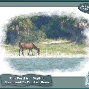 Aquarel van wild paard dat op het strand van Cumberland Island wandelt, kaart van 5 x 7 is blanco van binnen, digitale wenskaart van 5 x 7 is een afdrukbare sjabloon