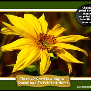 Zonnebloemfoto verjaardag of blanco kaart, digitale pdf thuis afdrukken, 5 x 7 kaart met 4 opties: blanco, verjaardag + tekst, alleen verjaardag, alleen vers