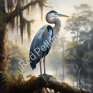 Louisiana Blue Reiher Kunst - Audubon inspirierter Sumpfvogel Digitaler Download