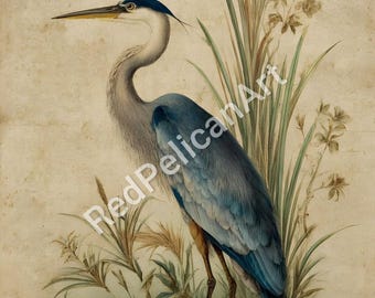 Antique Blue Heron Art – Vintage Bird Illustration (Digital Download)