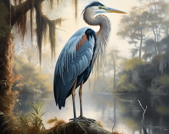 In the Shadows of Audubon: Louisiana&#39;s Blue Heron
