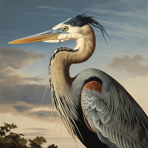 Elegance in Azure: A Heron's Gaze