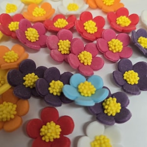 Spring Blossoms Icing Flowers - Royal Icing Flowers - Cake Toppers - Edible Flowers - Sugar Flowers 36 pieces