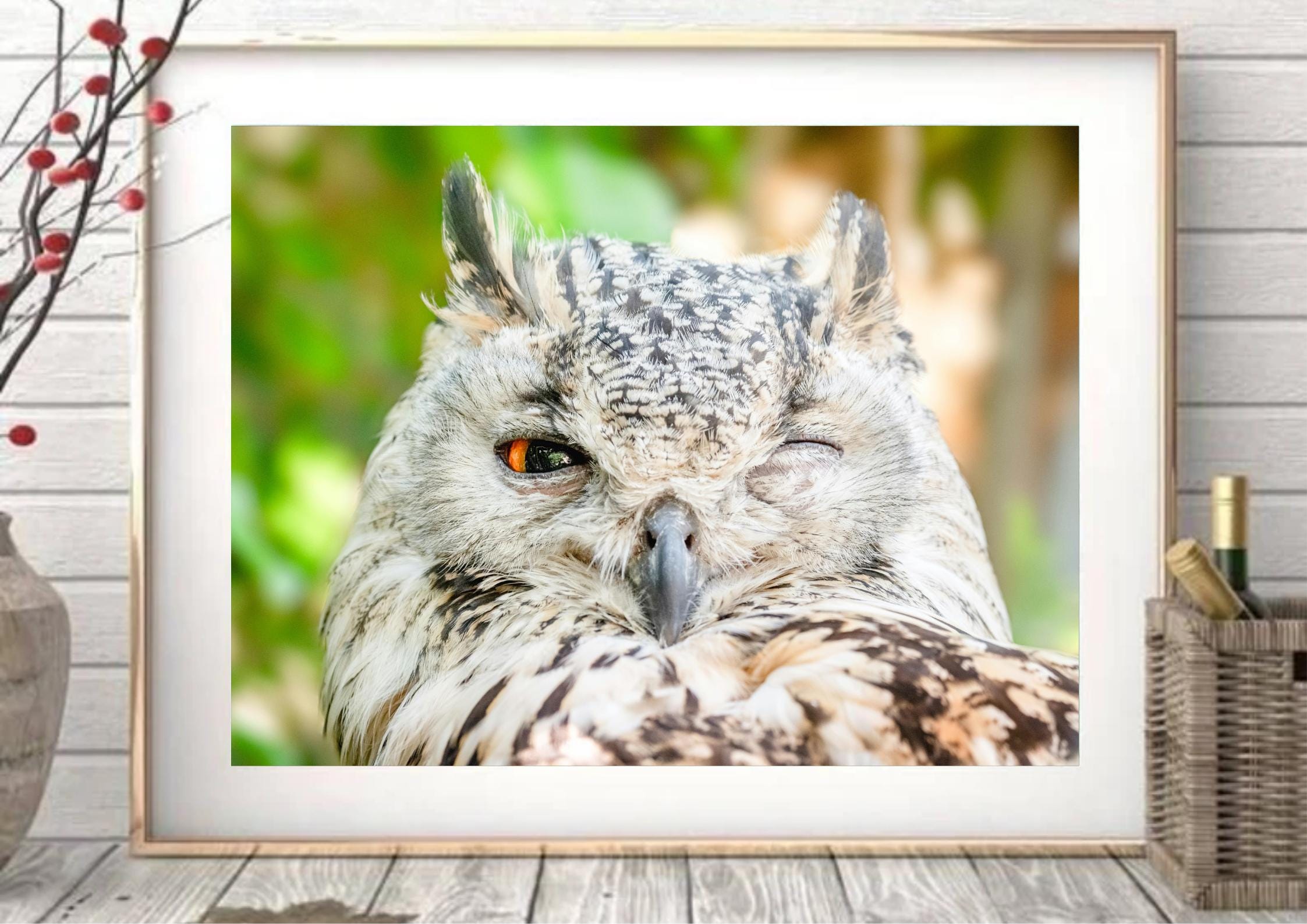 One-Eyed Owl Photo Print, Wild Bird Art Poster (Digital Download)