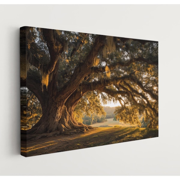 Southern Oak Tree Canvas Wall Art – Rustic Farmhouse Landscape Print – Golden Sunset Nature Decor