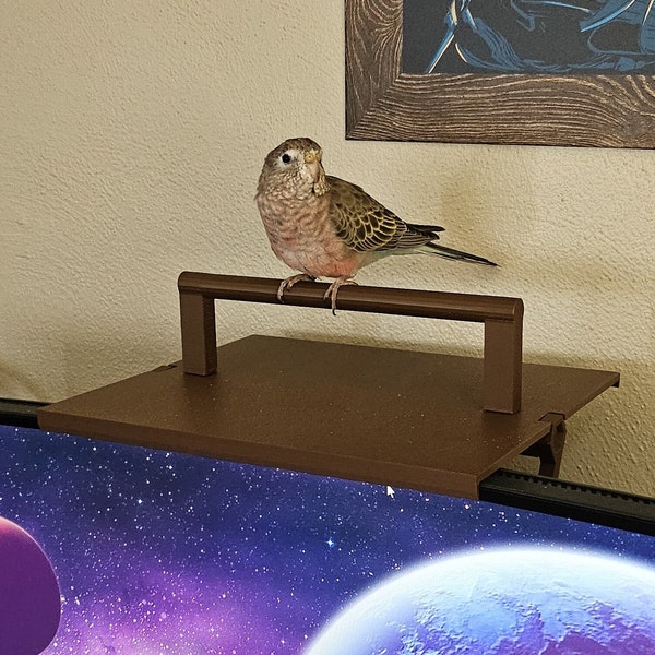 Pixel Perch: A 3D-Printed Monitor Perch for Your Feathered Co-Pilot