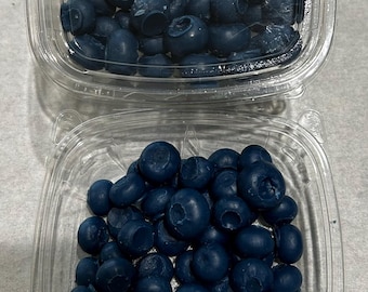 4 Unzen Jumbo Blueberry duftende Parasoy Wachs Embeds