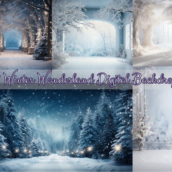 18 Winter Wonderland Digital Backdrops, Digital art, backdrops, background, maternity, birthday, wedding, love, elegant