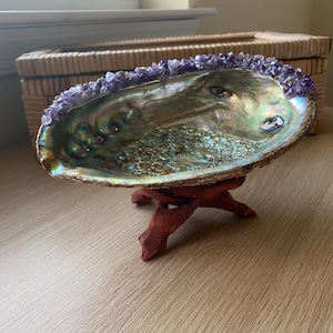 Large Abalone Shell Adorned with Amethyst Crystals (Indian Rosewood Stand Included)