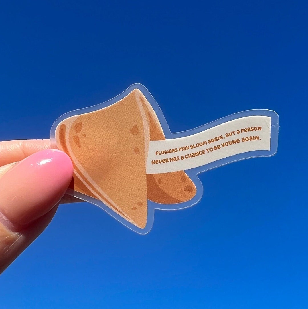 Fortune Cookie Bluey Stickers Bingo Clear Stickers Bluey Lover Stickers