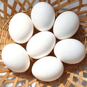 4 dozen of Non GMO Free range duck eggs. Naturally Farm Fresh and Antibiotic Free