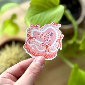 Tease Me Rosa Kuchenaufkleber | Valentinstag Geschenk | Niedliches Ästhetisches Vinyl Aufkleber | Rosa Herz Aufkleber | Wasserdicht und langlebig