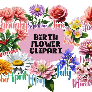 birth flower clipart, birth month flower clipart, clipart birth month flowers, birth flower month clipart, birth month flower clipart bundle