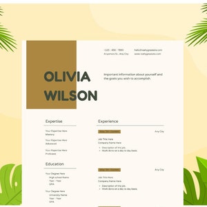 ATS Resume Template for Google Docs, Word, etc. ATS Friendly Resume Template. Simple Resume Template.