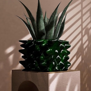 May include: A dark green, spiky ceramic planter holding a succulent plant. The planter sits on a light-colored, square pedestal with an arched cutout. The plant has long, pointed leaves.
