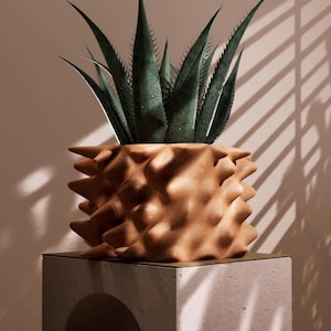 May include: A terracotta-colored, pineapple-shaped planter with a spiky exterior, holding a dark green succulent plant. The planter sits atop a concrete pedestal, with shadows from a window blind in the background.