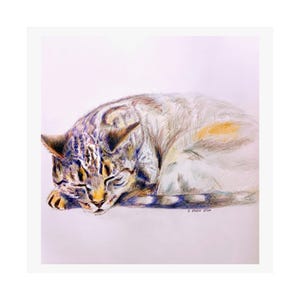 Sleeping Tabby Cat -Colored Pencil Drawing Print -Matte Vertical Poster