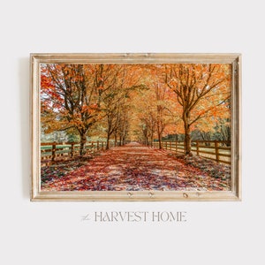 Leaf Covered Driveway Print, Rustic Horse Farm Poster, Autumn In New England, Farmhouse Decor, Fall Foliage Art, Large Autumn Wall Art