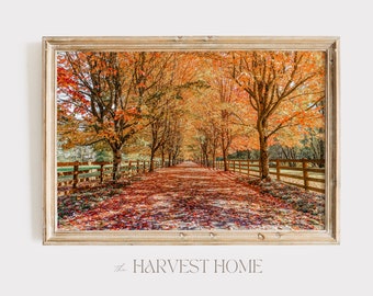 Leaf Covered Driveway Print, Rustic Horse Farm Poster, Autumn In New England, Farmhouse Decor, Fall Foliage Art, Large Autumn Wall Art