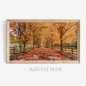 May include: A long, tree-lined path with vibrant fall foliage in shades of orange, yellow, and red. The path is lined with wooden fences and leads to a distant point in the woods. The leaves have fallen to the ground, creating a colorful carpet.