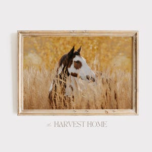 Herbst Pferd Wand Kunst, rustikale Wohnkultur, Farbe Pferd Fotografie, Herbst Heu Feld Foto, Bauernhaus Landschaft, Pferd im Feld Druck