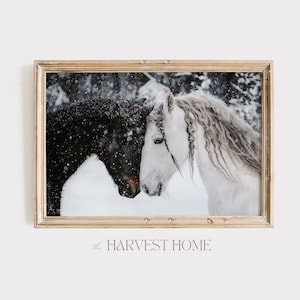 Snowy Winter Horses Print, Horses Face To Face, Black And White Horse, Snow Covered Farm, Rustic Farmhouse Wall Art, Rustic Winter Printable