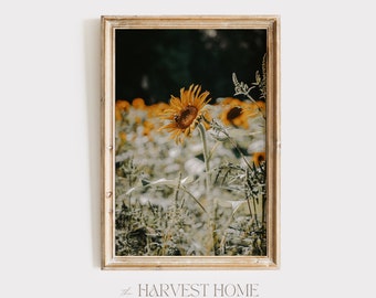 Stampa di api da miele su fioritura di girasole, patch di girasole estivo, scenario di fattoria, poster di girasole, arte stampabile di fiori