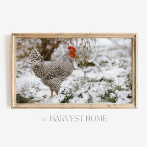 Chicken In The Snow TV Art | Laying Hen Photo | Farmhouse Scenery TV Decor | Rustic Chicken Winter Frame TV Art