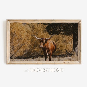 Longhorn Cow Frame TV Art | Samsung Frame TV Art | Autumn In Texas TV Decor | Rustic Longhorn Cow Tv Art