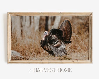Autumn Turkey Frame TV Art | Samsung Frame TV Art | Rustic Turkey In The Forest | Farmhouse Turkey TV Decor
