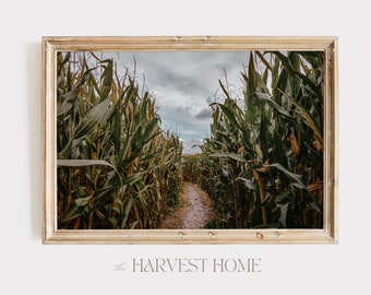 Corn Maze Wall Art, Corn Stalk Poster, Autumn Farm Decor, Corn Maze Path Photo, Tall Corn Printable, Farmhouse Activities, Rustic Corn Field