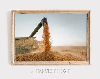 Fall Corn Harvest Print, Farmhouse Wall Art, Rustic Home Decor, Dried Corn Harvest, Autumn Harvest Printable, Rustic Farm Print