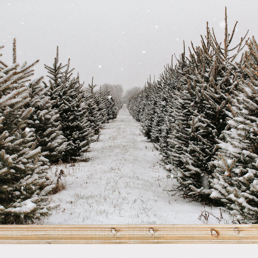 Christmas Tree Farm Printable, Farmhouse Decor, Tree Farm Wall Art
