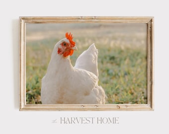Impresión de pollo de granja, Decoración de pollo beige, Arte de pared rústico de verano, Fotografía de pollo, Arte de pared de pollo de verano