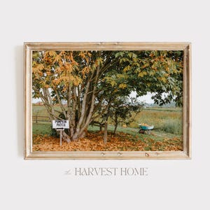 Kürbis Aufnäher Schild Druck, rustikale Herbstlandschaft, Bauernhaus Herbst Kunst, Thanksgiving Fotografie, Kürbis druckbare Kunst, rustikales Bauernhof Poster
