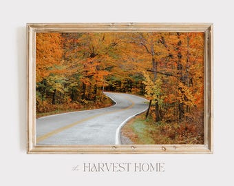 Lonely Road Through Vermont Print, Vermont Trees Art, Autumn Photography, Colorful Trees Poster, Vermont Forest Art, New England Autumn Art