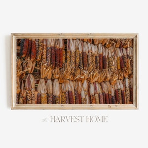 Dried Indian Corn TV Art | Samsung Frame TV Art | Fall Harvest TV Decor | Farmhouse Corn Frame Tv Art