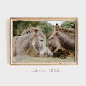 Puede incluir: Dos burros grises con ojos marrones se acurrucan el uno al otro en un campo. Los burros están enmarcados en un marco de imagen dorado con el texto "the HARVEST HOME" debajo del marco.