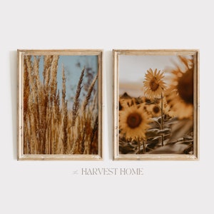 Neutral Farmhouse Print Set of 2, Sunflowers At Sunset, Dreamy Photography, Dried Wheat Field Print, Summer Farm Scenery Print Set