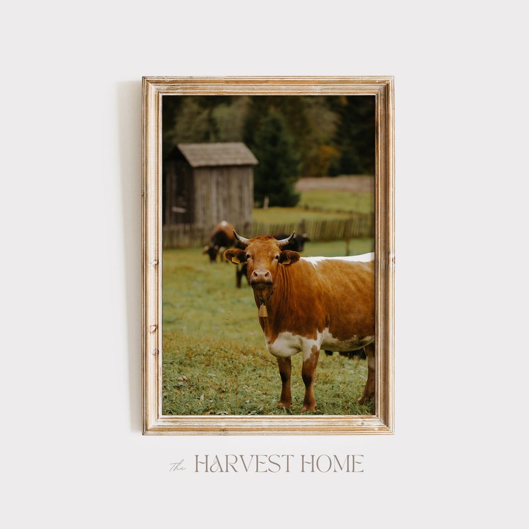 Rustic Fall Background Cow Cow in Pasture Print, Rustic Home Decor, Autumn Cow Print, Brown White ...