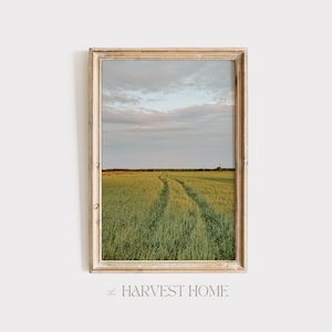 May include: A framed photograph of a green field with tire tracks leading to the horizon. The sky is a light blue with white clouds.