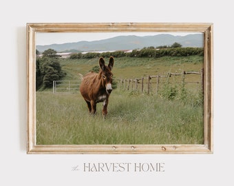 Brown Donkey In Pasture Wall Art, Rustic Summer Print, Farmhouse Decor, Donkey Photography, Gift For Donkey Lover