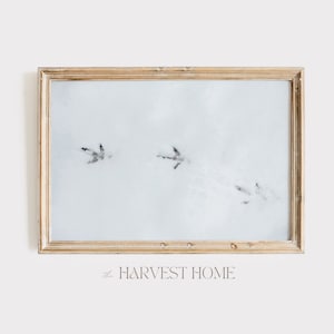 Footprints In The Snow, Farm Animal Poster, Chicken Footprints Poster, Rustic Snow Photo, Chicken Digital Art, Snowy Farm Decor, Chicken Art