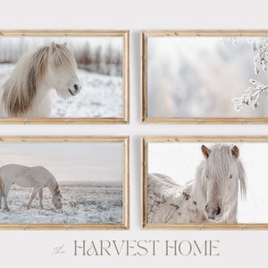 Samsung Frame TV Art SET | Beige Farmhouse Winter | Neutral Winter Scenery Frame TV | Farmhouse Horses Frame Tv Art