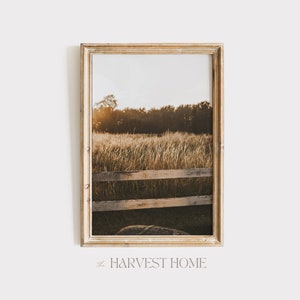 May include: A framed photograph of a field of tall grass with a wooden fence in the foreground. The sun is setting in the background, casting a warm glow over the scene.