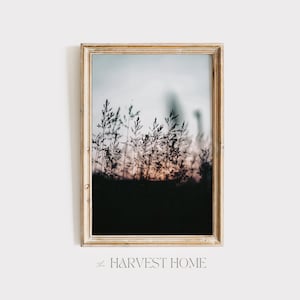 Moody Wheat Field Sunset Print, Farmhouse Scenery Poster, Moody Farm Decor, Wheat Field Photo, Summer Sunset Printable
