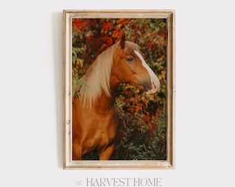 1950年代 ベルギー ドラフト ホース プリント 馬を引くチーム